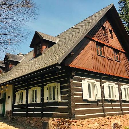 Villa Dum U Dvou Lip / The Two Lime Trees Javorník Exterior foto